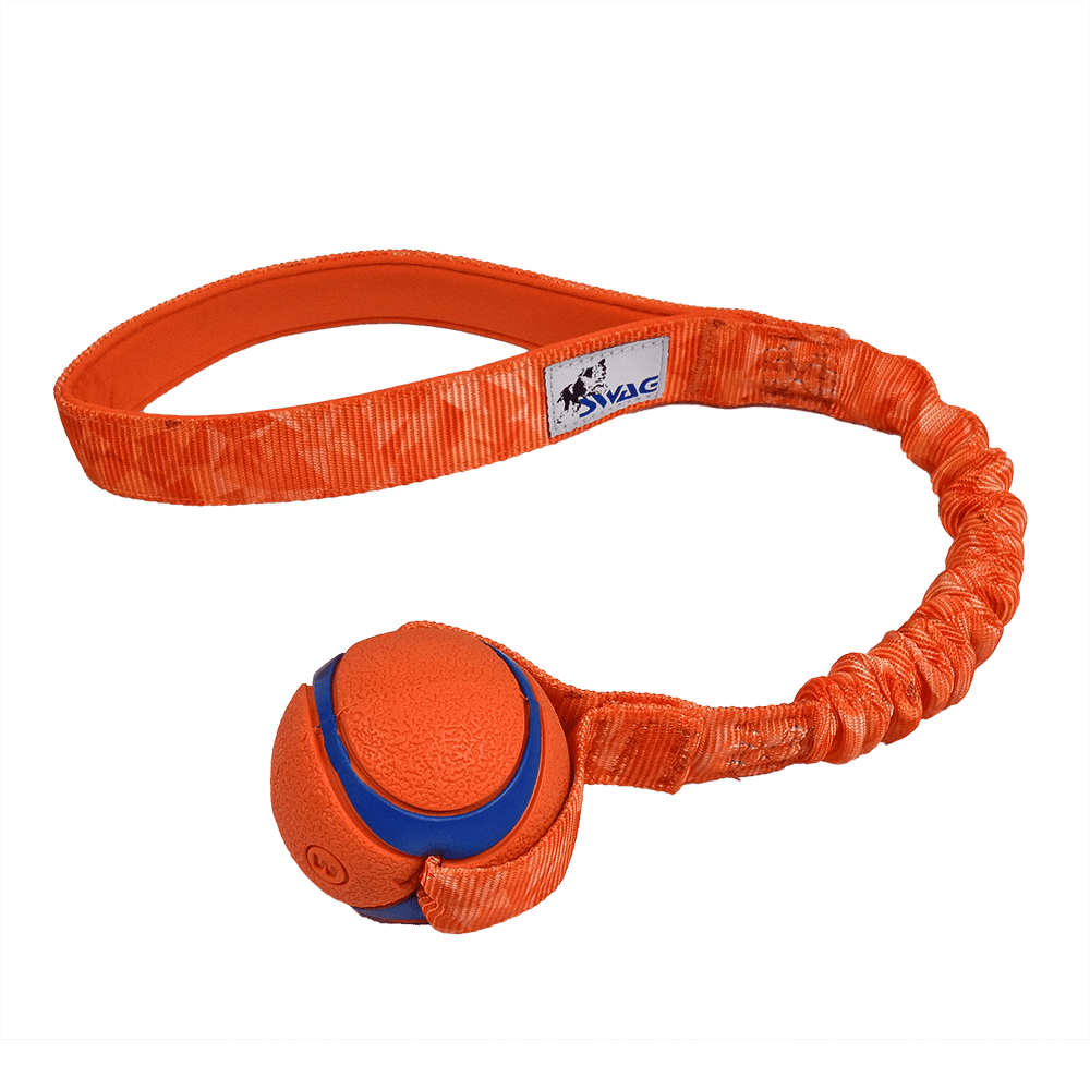 Balls Chuck-it Range - Image 3