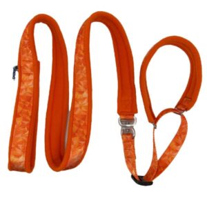 Slip Lead